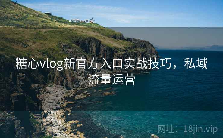 糖心vlog新官方入口实战技巧，私域流量运营